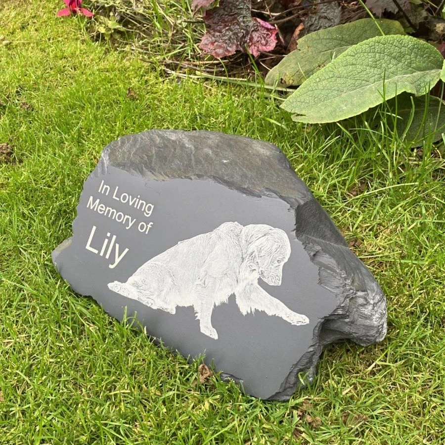 pet rock memorial